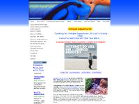 sunnyfishtank - Advanced Website Builder