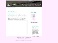  Plums, Pluots, Peaches, Nectarines