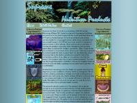 Supreme Nutrition Products