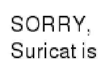 suricat.fr - suricat