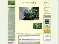 susannahammarberg.se kontakta mig, barcelona, färger former ljus