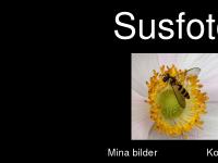 susslarsson.se susslarsson.se