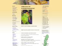 Välkommen till Svampkonsulenterna!