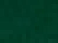 Svegs IK Hockey - den lilla föreningen med den stora verksamheten