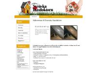 Välkommen till Svenska Husdoktorn