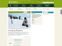 Lägg till som favorit, Läs mer, Fiskeregler (PDF), Återförsäljare (PDF) Lägg till som favorit, Läs mer, Fiskeregler (PDF), Återförsäljare (PDF)