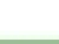 Svenska Kuvasz Klubben - SvKK