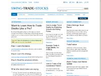  Intermediate: The Strategy, Reviews, Q&A, Read the introduction to swing trading