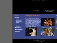 swingingairforce.com Apprenez à danser, English, Accueil swingingairforce.com Apprenez à danser, English, Accueil