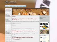 liten swshows.com skärmbild liten swshows.com skärmbild