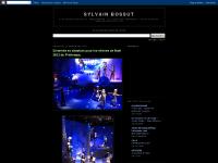 sylvainbossut 