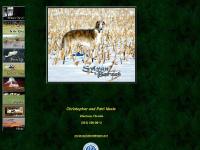 Sylvan Borzoi - Champions in the Ring and on the Field Sylvan Borzoi - Champions in the Ring and on the Field