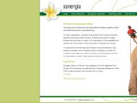 Synergia Business Systems