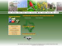 tafttx.com Government, Taft ISD, Business tafttx.com Government, Taft ISD, Business