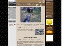 Min förstasida - www.tallmojakt.se Min förstasida - www.tallmojakt.se