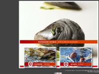 * Bienvenue à La Tantina de la Playa * * Bienvenue à La Tantina de la Playa *