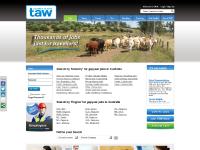 Gap Year Jobs Australia | Working Holiday Jobs | Backpacker Jobs Australia | Fruit Picking Jobs | Bar Jobs Gap Year Jobs Australia | Working Holiday Jobs | Backpacker Jobs Australia | Fruit Picking Jobs | Bar Jobs