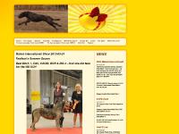 liten teammoalands.se skärmbild liten teammoalands.se skärmbild