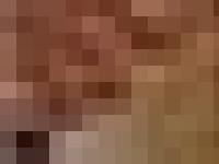 tectum-sarl.fr - tectum-sarl tectum-sarl.fr - tectum-sarl