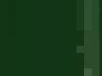 Tesser, Horowitz and Ullmann Inc. - The Trader's Tax Solution