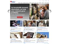 tellabs.com tellabs inc, telecom network equipment, mobile network equipment