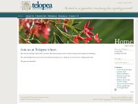 telopea.org.au Churches of Christ in NSW, What We Believe, Leadership Team