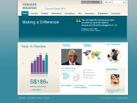 temasekreport.com Temasek Review, Year in review, Chairman