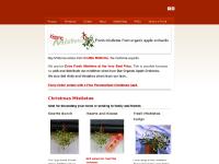  personalised Christmas Card For Free!, Web Hosting