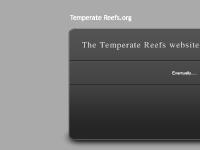 The Temperate Reefs website is under construction