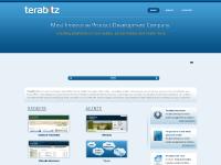 terabitz.com Website Frontend, Website Backend, Recruitment Tools