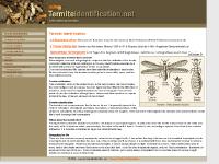 termiteidentification.net Termite Identification - life of the white ant