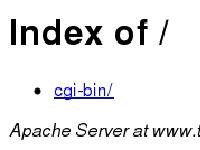 Index of /