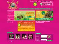 terra-brasilis.com restaurant bresilien, restaurant diner spectacle, restaurant bordeaux