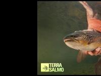 statistik för terrasalmo - TERRASALMO - Follow the stream