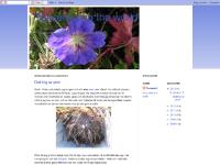 Tesseracting the world