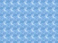 teter.org Costa Rica pictures, Teter African adventure, Elijah's website