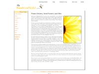 Flower Delivery Flower Delivery