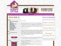 The Cavy Cottage The Cavy Cottage