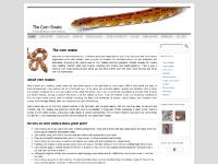 The Corn Snake - All about Elaphe guttata The Corn Snake - All about Elaphe guttata