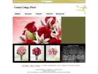 Occasions, Winter, Any Occasion, Birthday Occasions, Winter, Any Occasion, Birthday