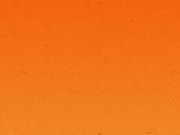 thehillsarealive.com.au thehillsarealive.com.au