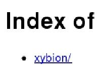 Index of / Index of /