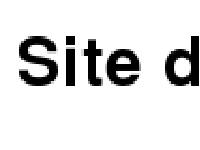 The Magpie Diary The Magpie Diary