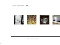 Therese Szatek | Visual Artist Therese Szatek | Visual Artist