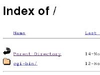 Index of /