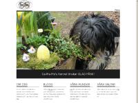 Tibetansk Terrier Tibetansk Terrier