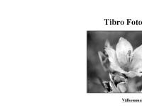 liten tibrofotoklubb.se skärmbild liten tibrofotoklubb.se skärmbild