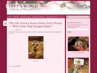  Uncategorized, Tiffy the Yorkie, Dog Toys, yorkie