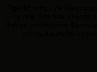 Tiger Missing Link Foundation