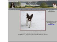 Välkommen till Kennel Tikk-A-Ring's Välkommen till Kennel Tikk-A-Ring's